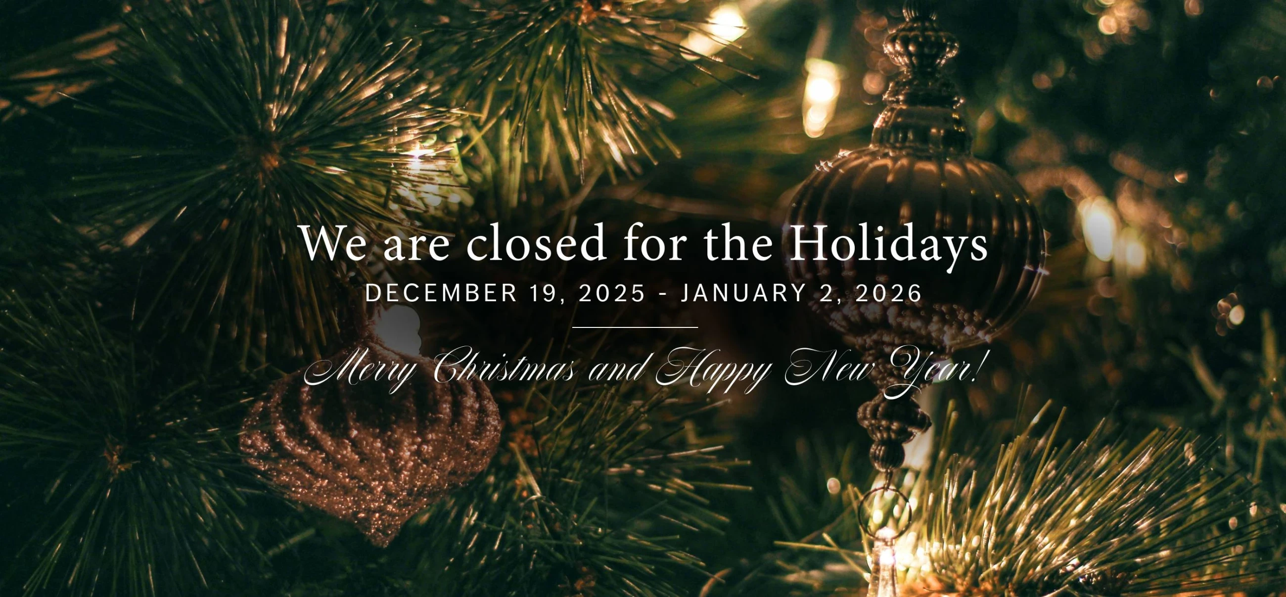 We are closed for the Holidays desktop banner